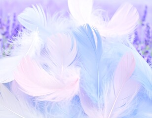 Obraz premium Pastel feathers on lavender background