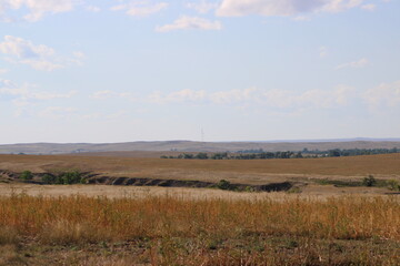 Fototapeta premium country landscape