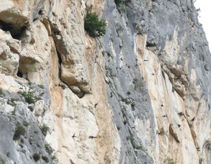 Climbers on a rock face