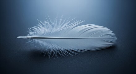 Delicate feather in blue: A pristine white feather, set against a serene blue backdrop, captures the essence of elegance and softness.