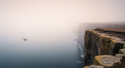Cliffside Fog: Captivating shot of a dramatic cliffside disappearing into dense fog, with a bird soaring above, this image evokes a sense of mystery, adventure, and the raw power of nature.