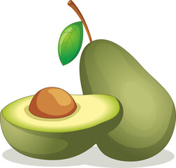 illustration of avocado