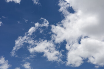 Obraz premium Cumulus clouds drift across a bright blue sky, symbolizing calmness, freshness, and open space.