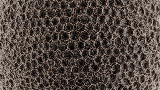 Macro texture of a wasp nest paper with intricate gray fibrous layers. Delicate honeycomb patterns for a unique organic background