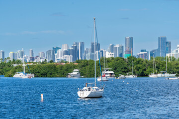 Veleros y ciudad de Miami