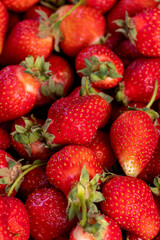 sweet strawberries close up, red ripe strawberries after harvesting and preparing berries for sale