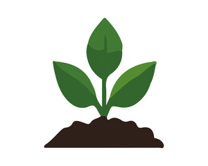 Vibrant green seedling emerging from soil