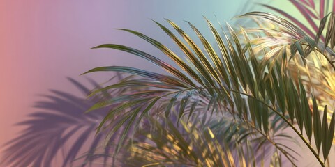 Soft Pastel Gradient Background with Elegant Palm Leaf Shadow