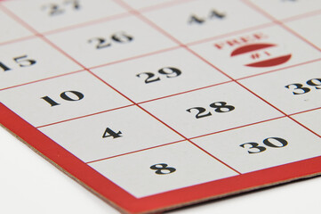 Cardboard of the entertaining bingo game, red with black numbers on a white background