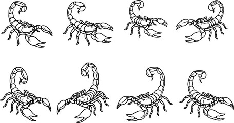 Obraz premium scorpion silhouette line art vector illustration with a white background set 