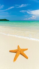 Starfish on a tropical beach (2)