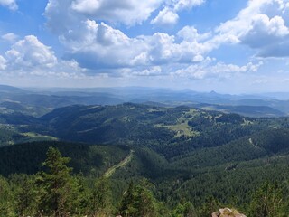Mountain landscape with forest and dramatic cloudy sky