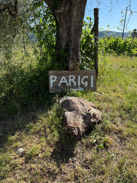 Parigi, the name of Paris written on wood in Tuscany