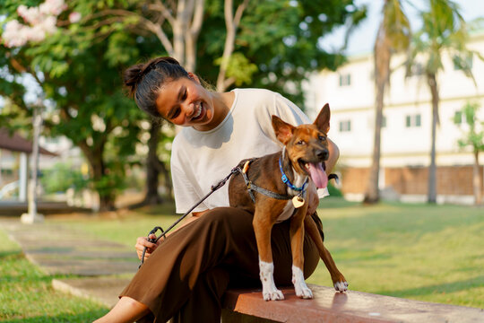 Woman enjoying time with a puppy at sunset