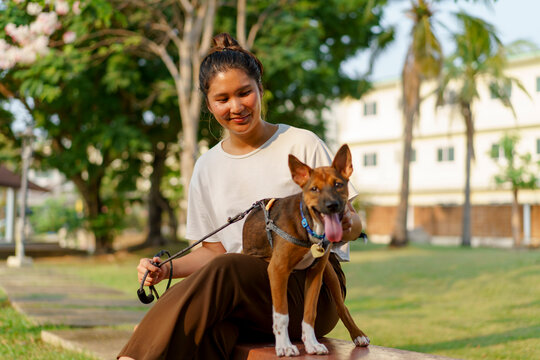 Woman enjoying time with a puppy at sunset