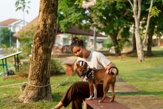 Woman enjoying time with a puppy at sunset