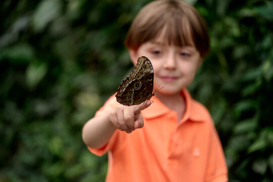 Curious boy holding a butterfly on his finger

