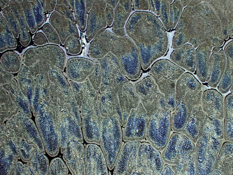 Textured background of microscopic glaze of Chinese ceramics tea cup
