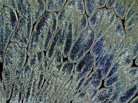 Textured background of microscopic glaze of Chinese ceramics tea cup

