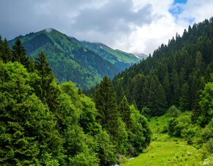 Lush mountain valley under a cloudy sky