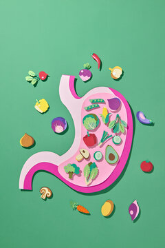 A paper art illustration of a stomach filled with vegetables