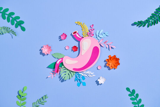 Colorful paper art illustration of the human stomach