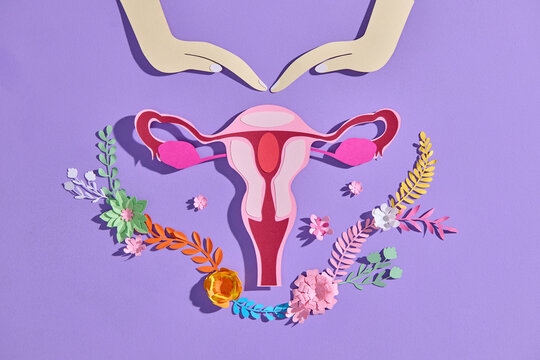 Artistic paper-cut illustration of the female reproductive system