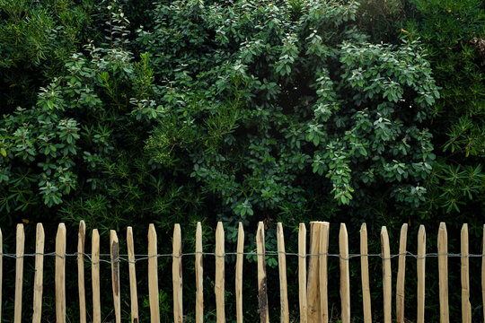 Fence
