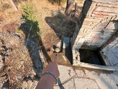 POV female finger points to turtle next to a drinking fountain 