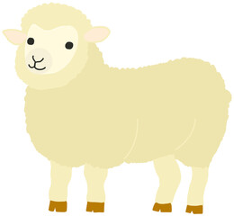 sheep