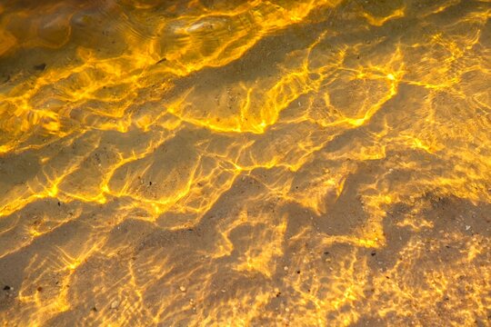 Golden Water on Amazon Shore