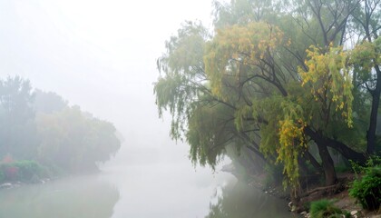 Misty riverbank scene
