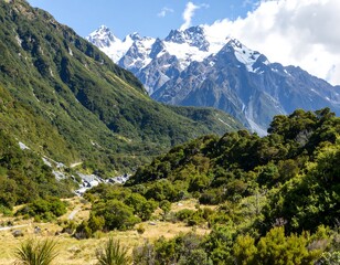 Obraz premium Mountain valley, lush vegetation, snow-capped peaks