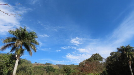 clouds over the forest