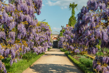 Hortus Botanicus Lovaniensis Leuven