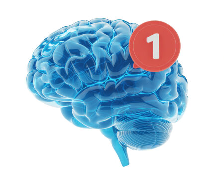 A blue brain with a red notification bubble showing the number one on a black and white background on transparent background - Powered by Adobe