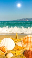 Seashells on a sandy beach with waves and sun