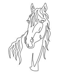 One line drawing horse head monochrome vector artwork