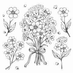 Fototapeta premium Babys Breath Floral Line Drawing Set