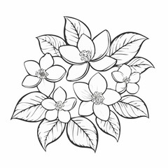 Fototapeta premium Jasmine line art vibrant designs full of elegant simplicity