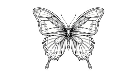 Intricate monochrome butterfly illustration showcasing delicate wing patterns and elegant design