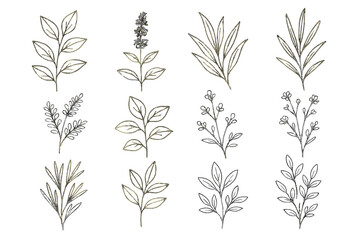 Nature, botanical outline icon set. leaf, plant, floral icons linear collection