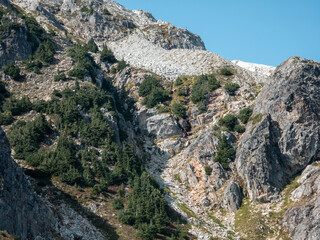 Rugged Mountain Landscape with Lush Vegetation in Squamish, BC, Canada