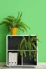 Shelving unit with houseplants and folders near green wall in room