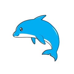dolphin isolated on white