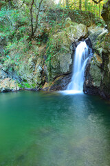 仙厳の滝　静岡県浜松市