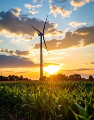 Wind turbine at sunset over cornfield