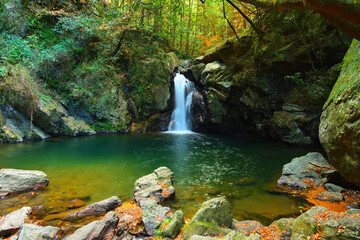 仙厳の滝　静岡県浜松市 © Shouichi