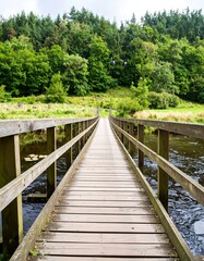 Fototapeta premium Wooden bridge walkway through green forest