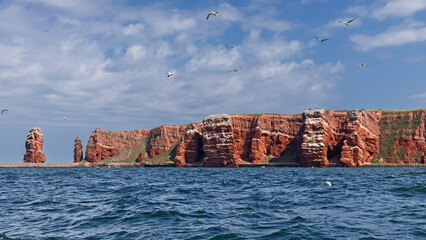 Buntsandsteinklippen auf Helgoland in der Nordsee mit der Langen Anna mit Basstölpeln in der Luft....